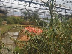 -无锡动物园·太湖欢乐园