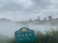 -荷兰花海