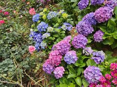 -人民公园(罗湖区)