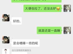 -创凡宠物医院·骨专科  猫科中心(西乡分院)
