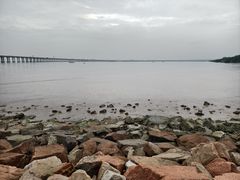 -宝安西湾红树林湿地公园