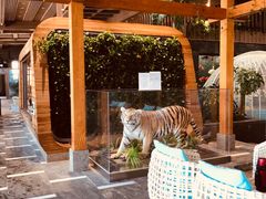-弘安丽水温泉酒店