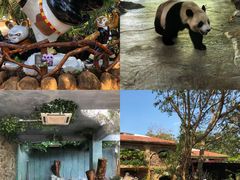 -海南热带野生动植物园