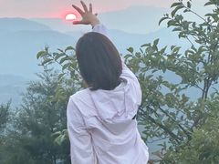 -长虫山生态公园风景林