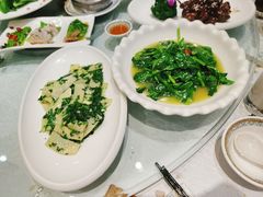 上汤豆苗-金米箩大酒店(五角场店)