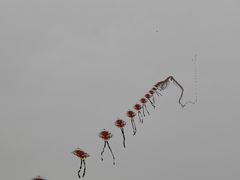 -二沙岛艺术公园