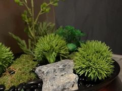 -百富源·海鲜辽菜(浑河堡店)