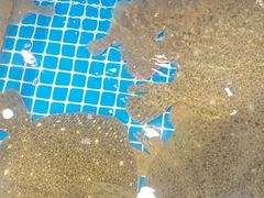 -隐厨·海鲜餐厅(恒通路店)