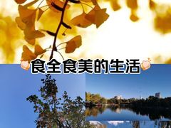 -上坐过桥米线(顺城店)