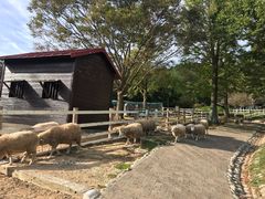 -神户市立六甲山牧场