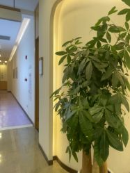 -紫馨整形外科医院