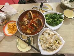 -风鑫铃罗非鱼(道沟店)