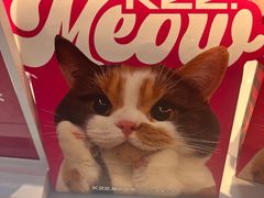 -K22.酸奶草莓(长春上海路万达店)