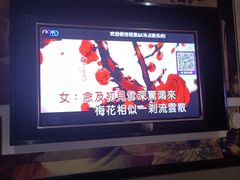 -麦歌精致量贩ktv