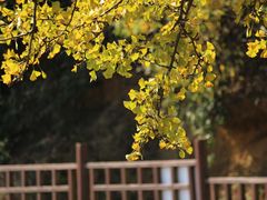 -径山寺