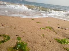 -青岛第二海水浴场