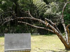 -祁门牯牛降观音堂风景区