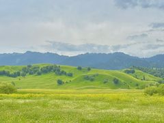 -新疆那拉提国家旅游度假区