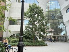 -美国自然历史博物馆