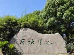 -荷塘月色湿地公园·向阳花洲