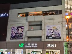 -Animate(秋叶原本馆)