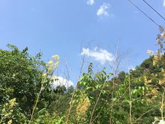-黑河国家森林公园