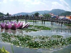 -帽儿山风景区
