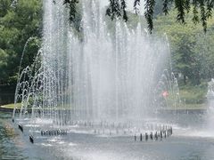 -上海共青森林公园