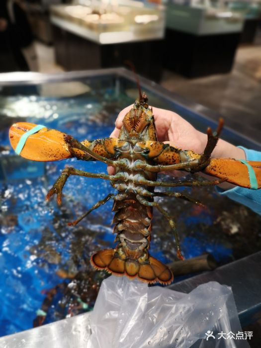 盒马鲜生(解百店)波士顿龙虾图片