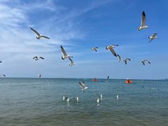 -那香海钻石沙滩浴场