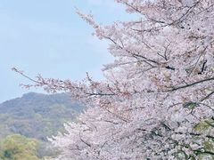-杭州少年儿童公园