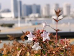 -世博源公馆·本帮融合菜·主题包厢·江景餐厅