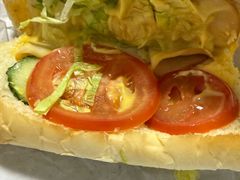 -赛百味SUBWAY(高新绿宝店)