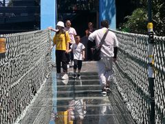 -梦幻奥陶纪景区