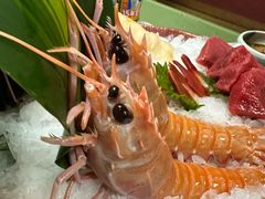 -万岛日本料理铁板烧(大宁店)