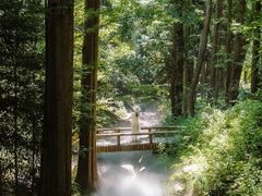 -东明山森林公园