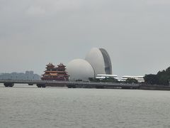 -野狸岛