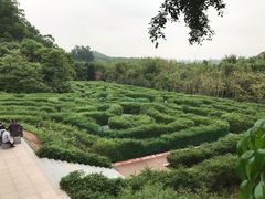 -大屏嶂森林公园