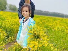 -天津武清北运河郊野公园房车露营地