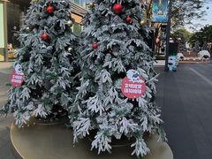 -东莞松山湖万象汇