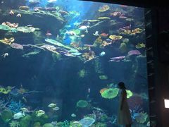 -暹罗海洋世界