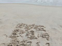 -厦门海底世界
