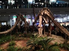 -自贡恐龙博物馆