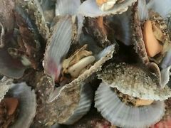 -宾朋海鲜特色美食餐厅·纯手工鲅鱼水饺(兴海路店)