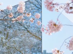 -龙美术馆(西岸馆)