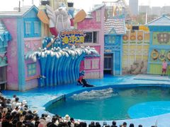 -华夏文旅海洋公园