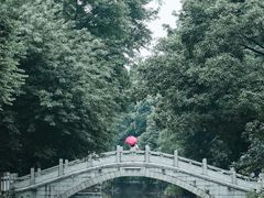 -东涌水乡风情街