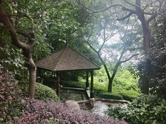 -天目湖涵田半山温泉
