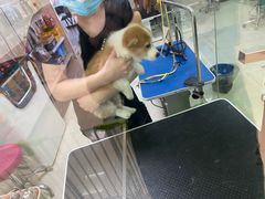 -乐琪宠物(青塔西路店)