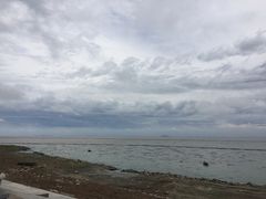 -合肥滨湖国家森林公园